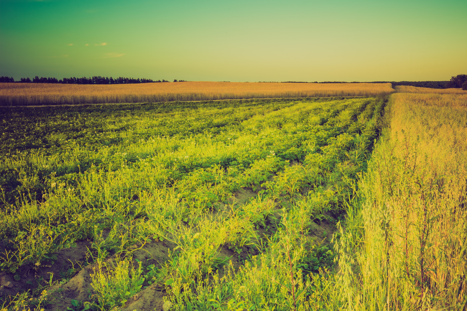 Salesforce Solutions